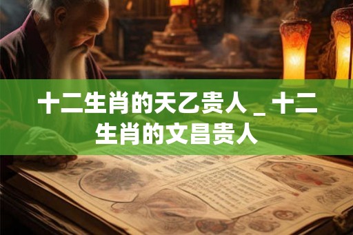 十二生肖的天乙贵人＿十二生肖的文昌贵人