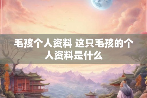 毛孩个人资料 这只毛孩的个人资料是什么