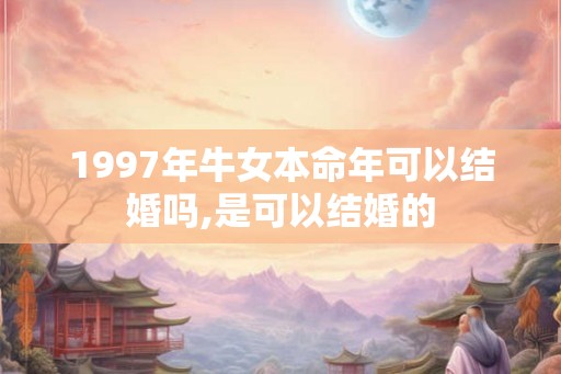 1997年牛女本命年可以结婚吗,是可以结婚的