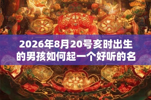 2026年8月20号亥时出生的男孩如何起一个好听的名字