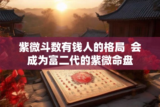 紫微斗数有钱人的格局  会成为富二代的紫微命盘