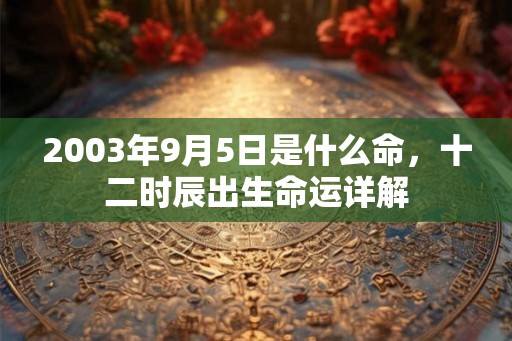 2003年9月5日是什么命，十二时辰出生命运详解