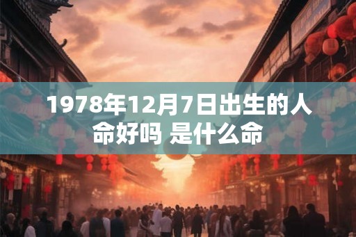 1978年12月7日出生的人命好吗 是什么命