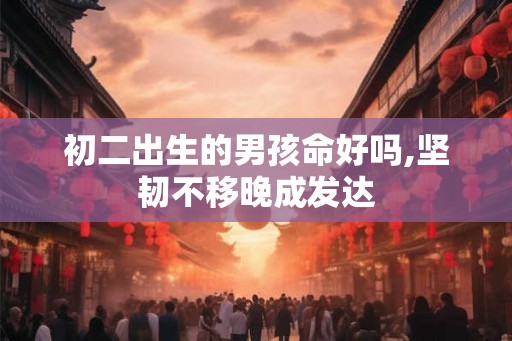 初二出生的男孩命好吗,坚韧不移晚成发达