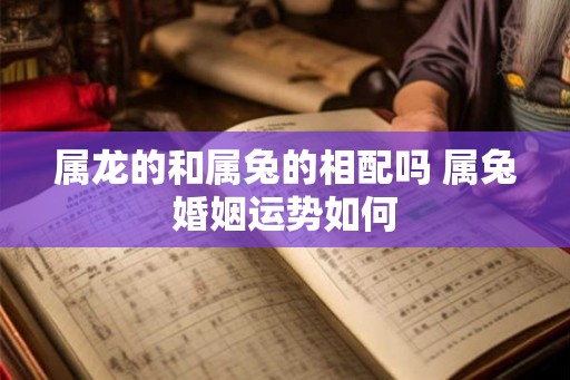 属龙的和属兔的相配吗 属兔婚姻运势如何 属龙的和属兔的相配吗 属兔婚姻运势如何
