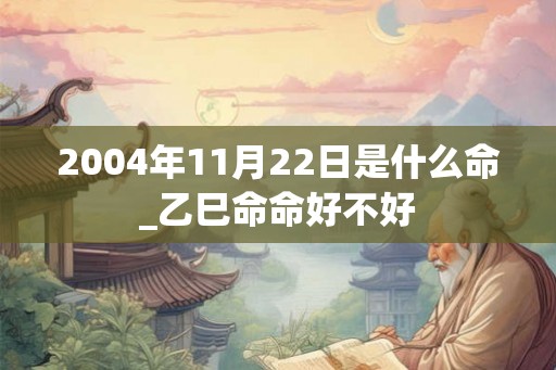 2004年11月22日是什么命_乙巳命命好不好