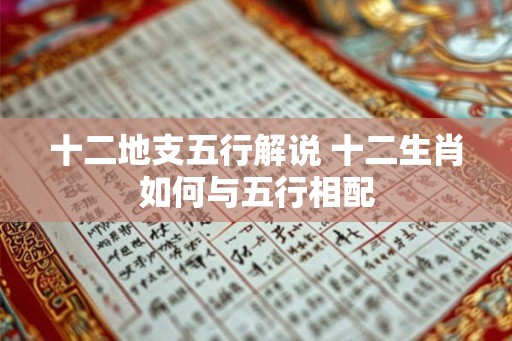 十二地支五行解说 十二生肖如何与五行相配