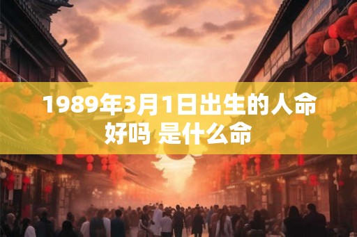 1989年3月1日出生的人命好吗 是什么命