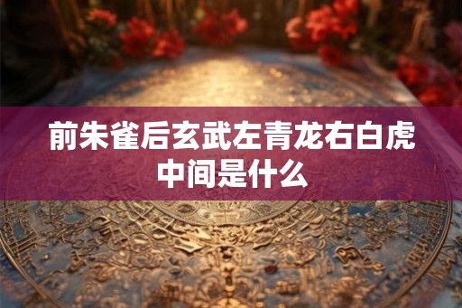 前朱雀后玄武左青龙右白虎中间是什么 前朱雀后玄武左青龙右白虎中间是什么