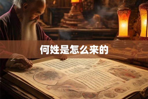 何姓是怎么来的