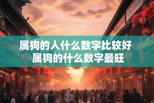属狗的人什么数字比较好  属狗的什么数字最旺