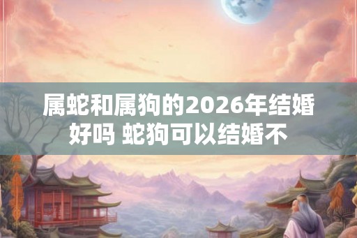 属蛇和属狗的2026年结婚好吗 蛇狗可以结婚不