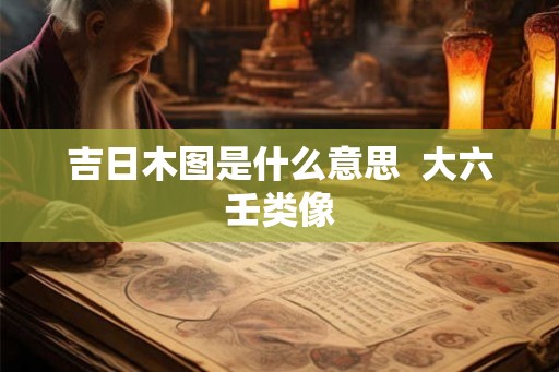 吉日木图是什么意思  大六壬类像