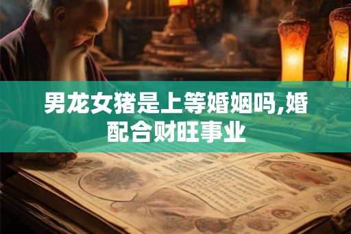 男龙女猪是上等婚姻吗,婚配合财旺事业