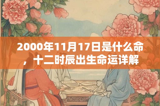 2000年11月17日是什么命，十二时辰出生命运详解