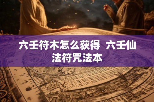 六壬符木怎么获得  六壬仙法符咒法本