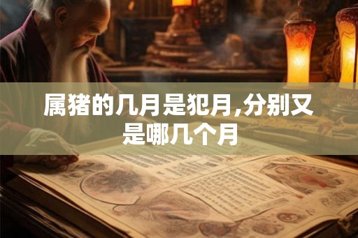 属猪的几月是犯月,分别又是哪几个月