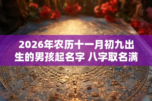 2026年农历十一月初九出生的男孩起名字 八字取名满分大全