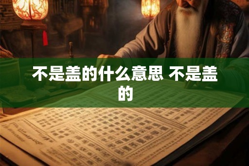 不是盖的什么意思 不是盖的