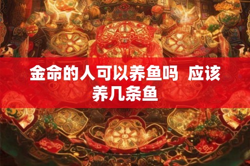 金命的人可以养鱼吗  应该养几条鱼