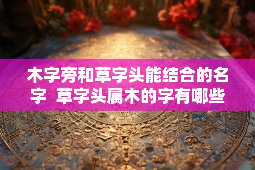 木字旁和草字头能结合的名字  草字头属木的字有哪些取名