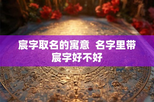 宸字取名的寓意 名字里带宸字好不好 宸字取名的寓意 名字里带宸字好不好