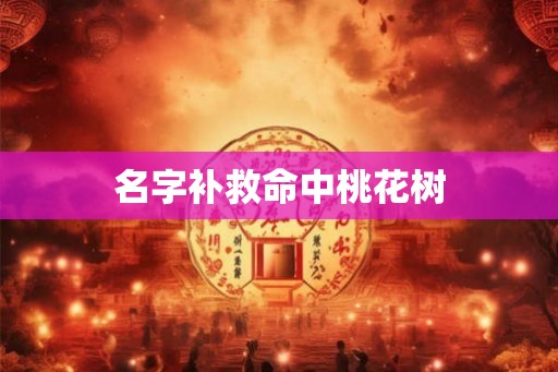 名字补救命中桃花树 名字补救命中桃花树