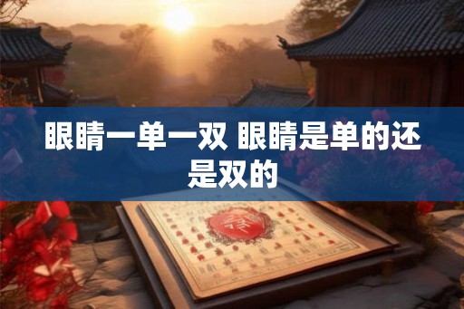 眼睛一单一双 眼睛是单的还是双的