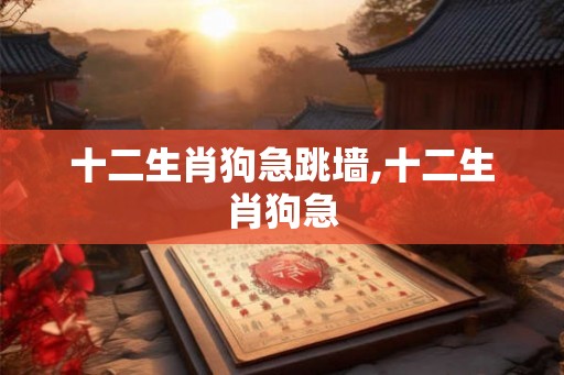 十二生肖狗急跳墙,十二生肖狗急