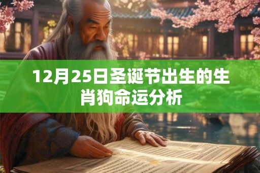12月25日圣诞节出生的生肖狗命运分析 12月25日圣诞节出生的生肖狗命运分析
