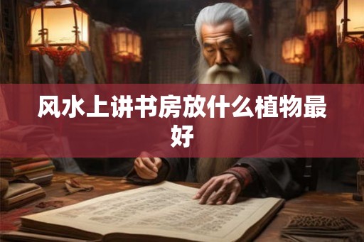 风水上讲书房放什么植物最好