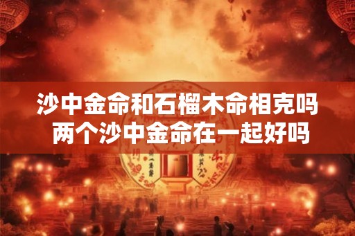 沙中金命和石榴木命相克吗 两个沙中金命在一起好吗 沙中金命和石榴木命相克吗 两个沙中金命在一起好吗