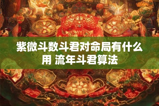 紫微斗数斗君对命局有什么用 流年斗君算法