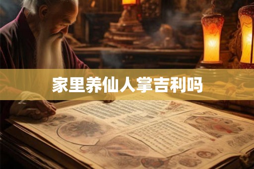 家里养仙人掌吉利吗