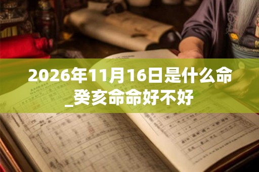 2026年11月16日是什么命_癸亥命命好不好