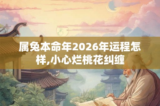 属兔本命年2026年运程怎样,小心烂桃花纠缠