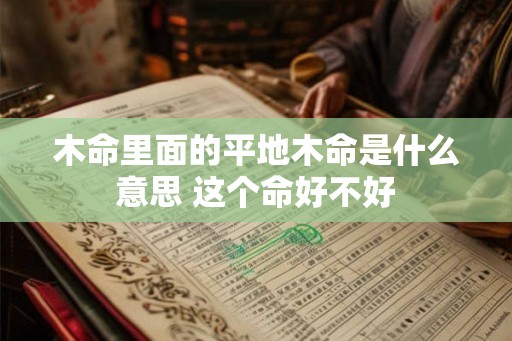 木命里面的平地木命是什么意思 这个命好不好