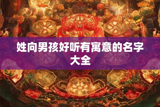 姓向男孩好听有寓意的名字大全