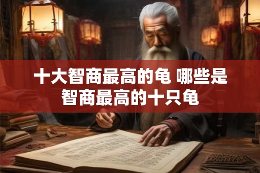 十大智商最高的龟 哪些是智商最高的十只龟 十大智商最高的龟 哪些是智商最高的十只龟