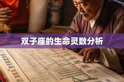 双子座的生命灵数分析