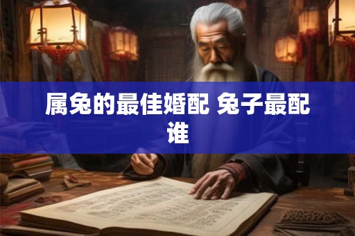 属兔的最佳婚配 兔子最配谁