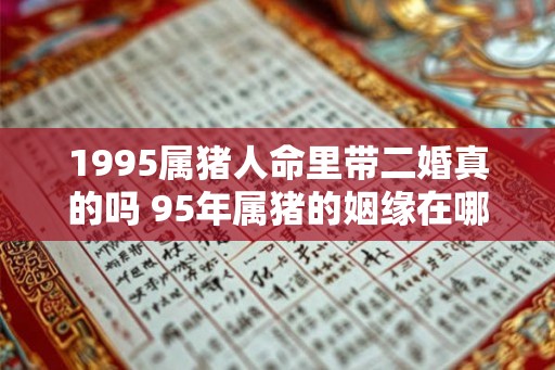1995属猪人命里带二婚真的吗 95年属猪的姻缘在哪一年