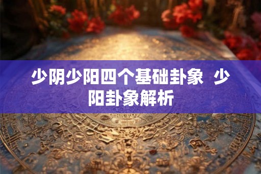 少阴少阳四个基础卦象  少阳卦象解析