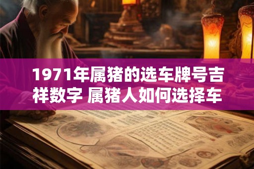 1971年属猪的选车牌号吉祥数字 属猪人如何选择车牌号