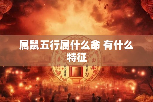 属鼠五行属什么命 有什么特征
