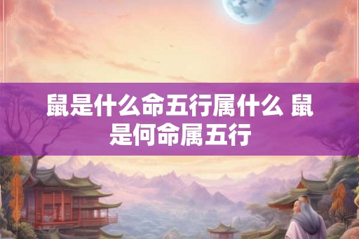 鼠是什么命五行属什么 鼠是何命属五行