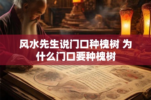 风水先生说门口种槐树 为什么门口要种槐树