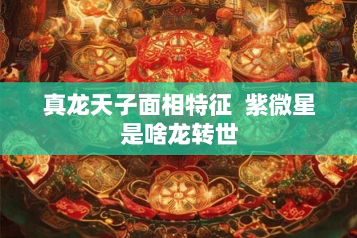 真龙天子面相特征  紫微星是啥龙转世