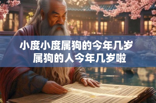 小度小度属狗的今年几岁  属狗的人今年几岁啦