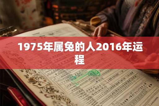 1975年属兔的人2016年运程 1975年属兔的人2016年运程